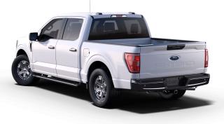 2023 Ford F-150 XLT Photo