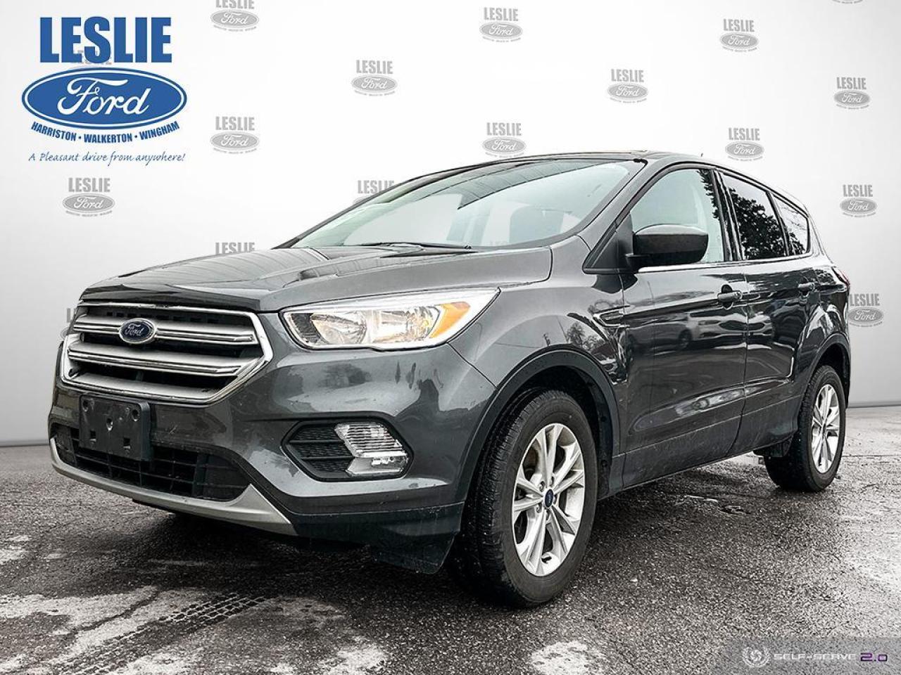 Used 2019 Ford Escape SE for sale in Harriston, ON