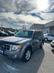 2008 Ford Escape XLT - Photo #7