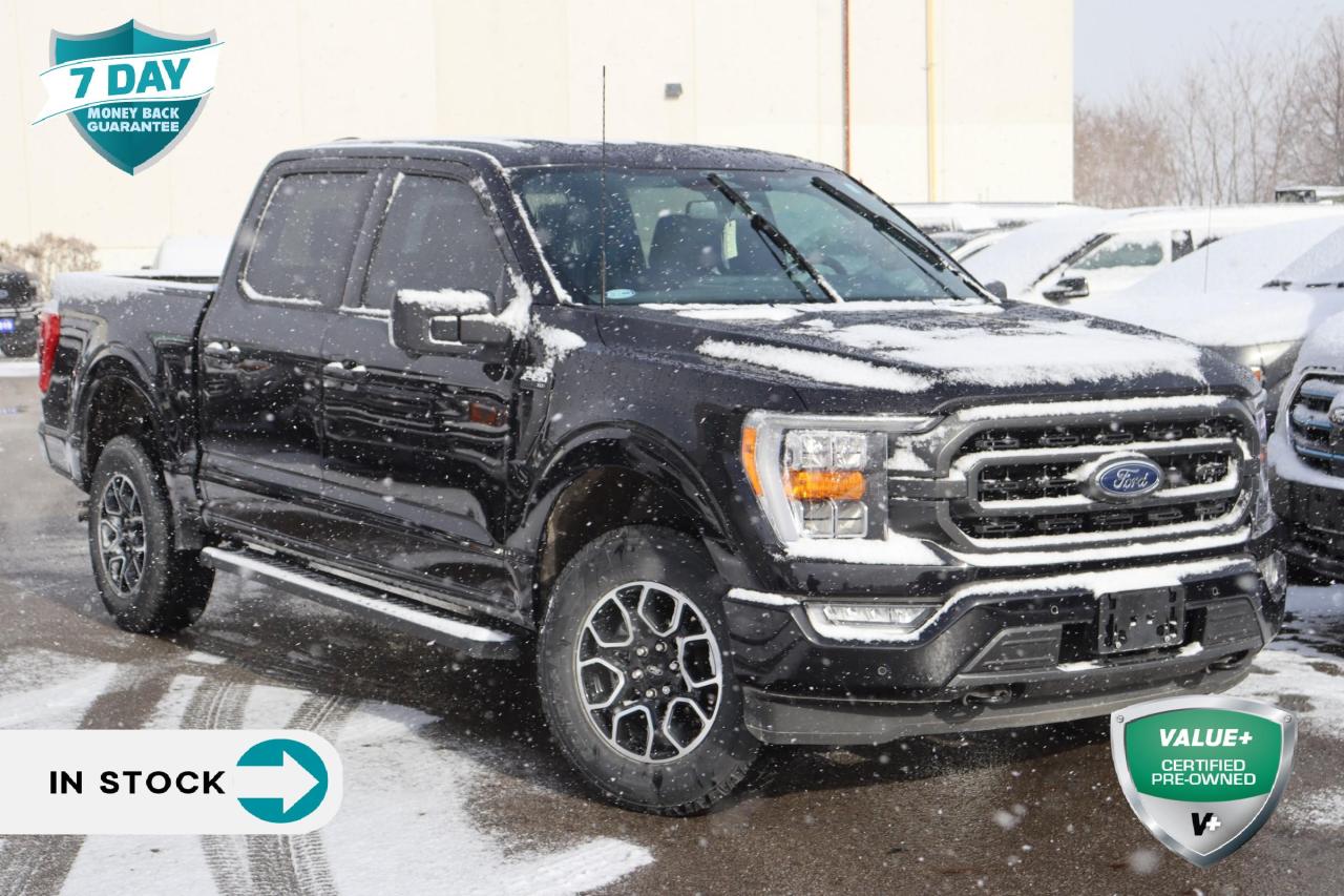 Used 2022 Ford F-150 XLT 5.0 V8 Power, Ford Co-Pilot for sale in Hamilton, ON