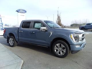 New 2023 Ford F-150 PLATINUM for sale in Lacombe, AB