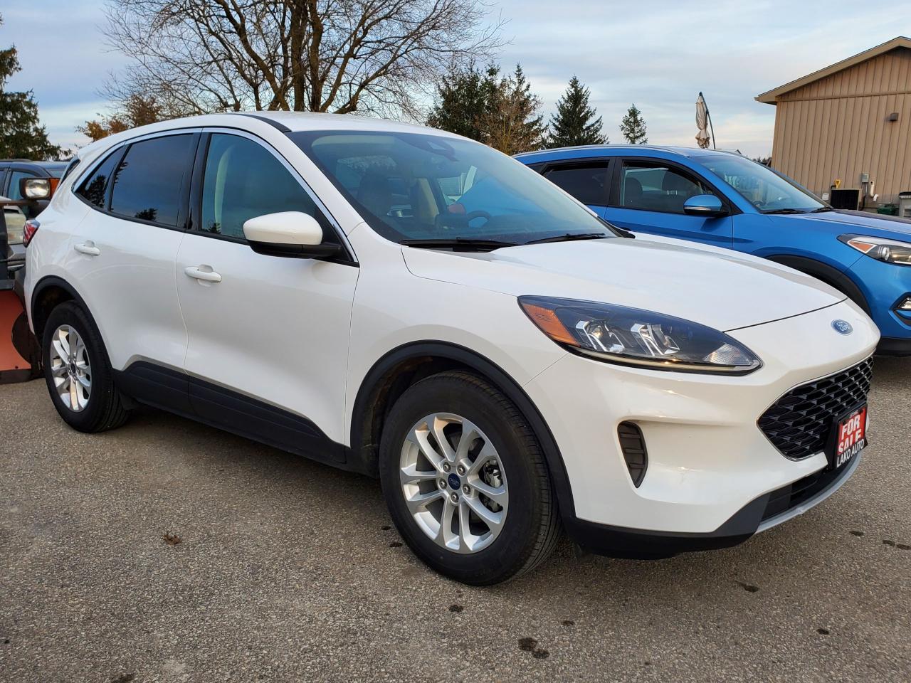 2020 Ford Escape 