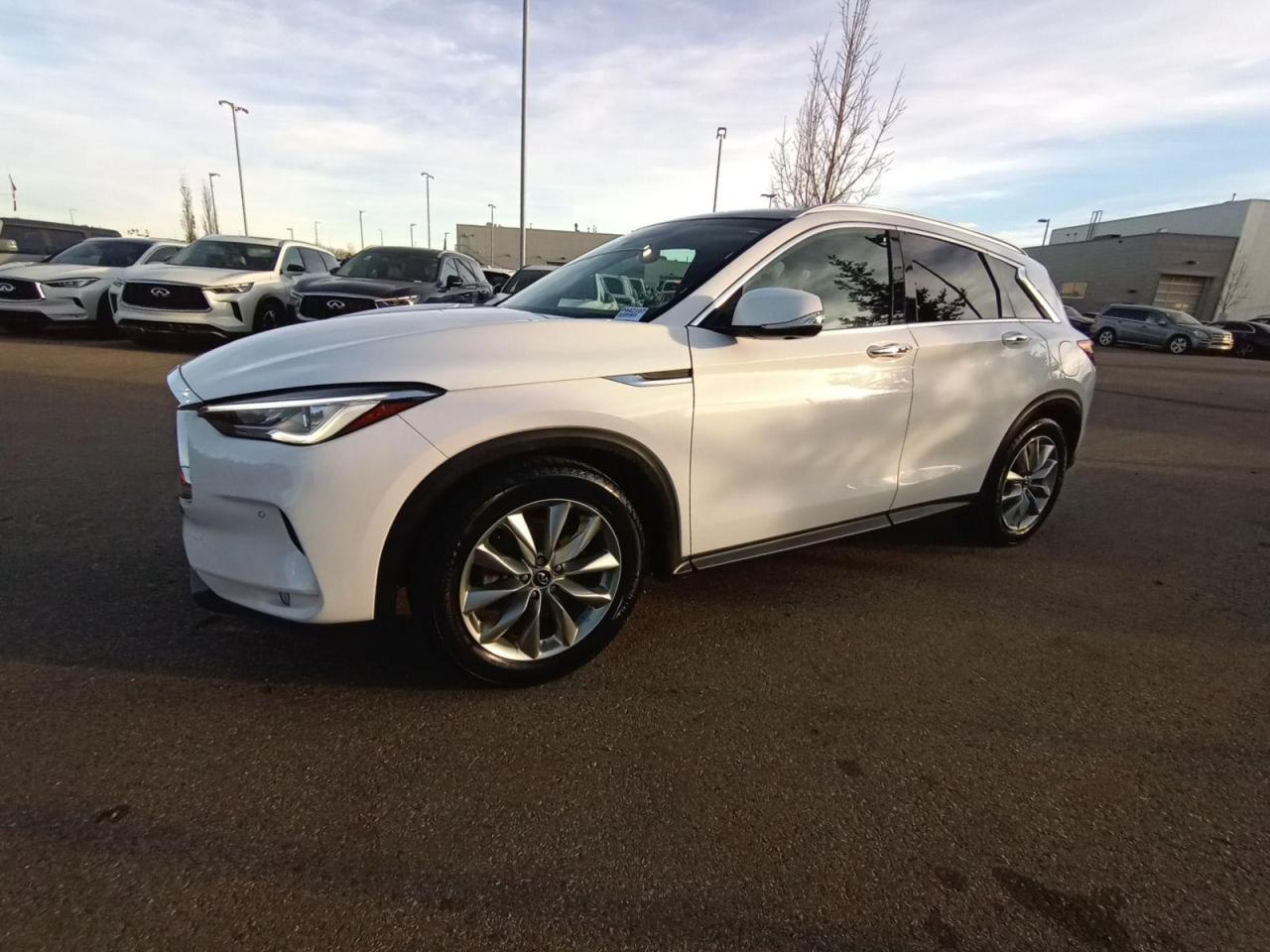 Used 2019 Infiniti QX50  for sale in Edmonton, AB