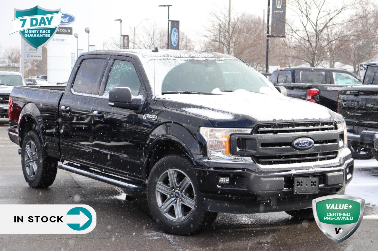 Used 2019 Ford F-150 XLT 3.5 EcoBoost SuperCrew for sale in Hamilton, ON