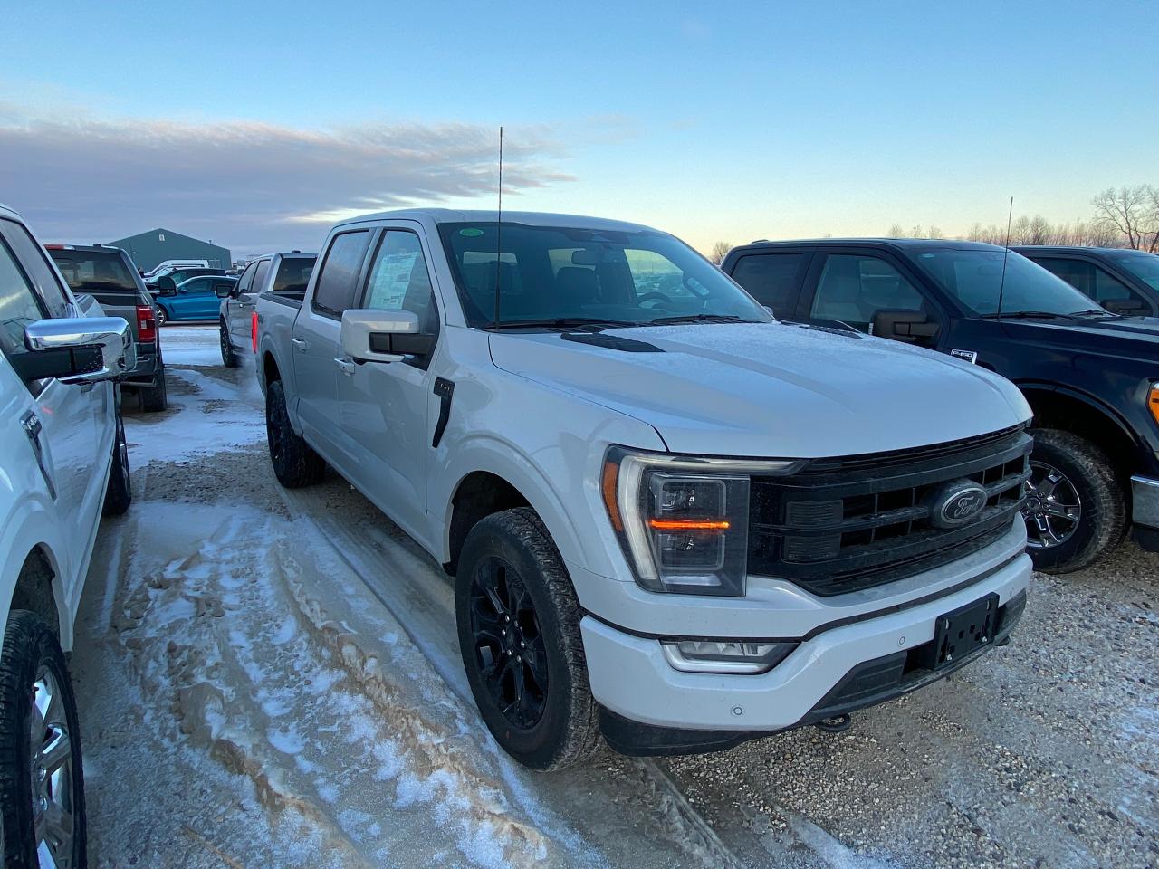 2023 Ford F-150 LARIAT 4WD SUPERCREW 5.5' BOX 502A Photo5