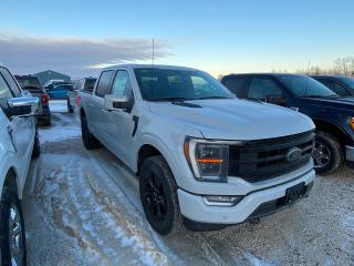 2023 Ford F-150 LARIAT 4WD SUPERCREW 5.5' BOX 502A Photo