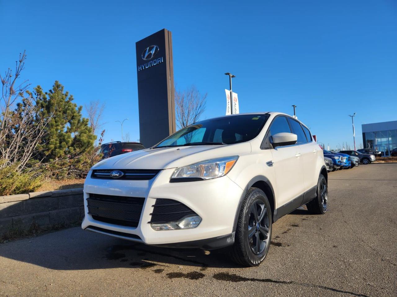 Used 2015 Ford Escape  for sale in Edmonton, AB