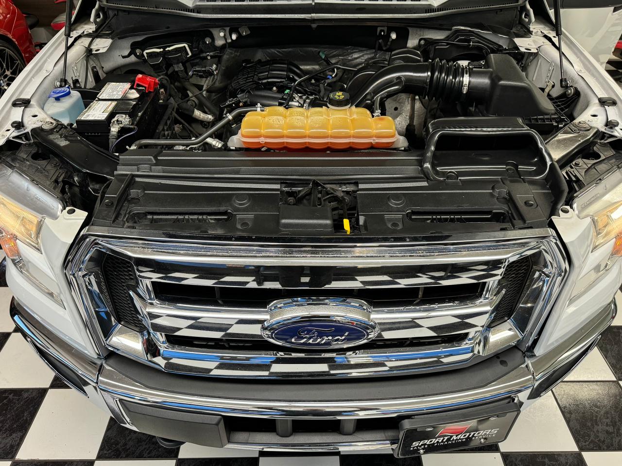 2015 Ford F-150 XLT 4x4+Bluetooth+New Tires & Brakes+Cruise+Tinted - Photo #7