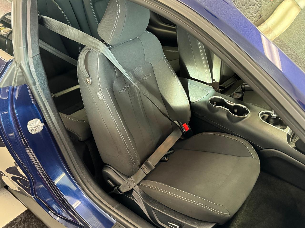 2018 Ford Mustang Ecoboost Premium+ApplePlay+Camera+CLEAN CARFAX - Photo #18