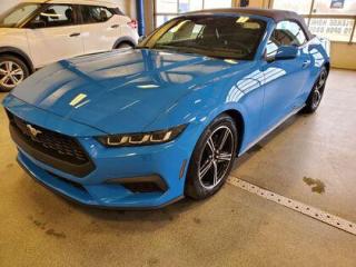 This all new, fully re designed 2024 Ford Mustang EcoBoost 101A looks eye catching in the color Grabber Blue Metallic. This fastback comes with the 2.3L EcoBoost engine which connects you to the road with this 10-speed automatic transmission. This popular engine produces 315 horsepower and 350 lb.-ft of torque.  

Key Features:
Wheel & Stripe Package
19 MCHD AL W/TRNSHD DK-PTD PK
Hood Stripe
Side Stripe
Black Step Opacity Fade 
Ford Co-Pilot 360 Technology 
Lane Keep Assist 
Rear View Camera 
Rain Sensing Wipers 
Rear Parking Sensors 
Engine Block Heater 
SYNC 4 
Wireless Phone Connection 
Apple Car Play / Android Auto
Voice Command Recognition
Smart Charging USB Ports 
Pre- Collison Assist 
3.15 Limited Slip Axle 
Hood Struts 
12.4 LCD Digital Cluster 
Climate Control 

In 2024 the Mustang received a full styling and technology refresh. Although this Mustang is all new, we have been delivering this iconic vehicle to Saskatchewan for nearly 60 years. Still keeping up with its rear-wheel-drive sports car feel, The Mustang continues to improve with 3.15 Limited Slip Rear Axle, Selectable drive modes, climate control, 6-way manual drivers seat, flat bottom steering wheel, rear window defroster, keyless entry system, SOS post-crash alert system and much more.

At Moose Jaw Ford, we're driving change all across Saskatchewan! We are Moose Jaw's prime destination for everything automotive. We pride ourselves by consistently providing the highest quality customer experience  every single time. Because of this commitment, and the love of what we do, Moose Jaw Ford is the recipient of multiple President's Club Awards and is recognized as one of Canada's Best Managed Companies. We are dedicated to building long lasting relationships. You can trust that our trained service technicians will take excellent care of you and your vehicle when you visit our service department. Come visit us today at 1010 North Service Road..