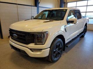 New 2023 Ford F-150 PLATINUM 701A W/BLACK APPEARANCE PACKAGE for sale in Moose Jaw, SK