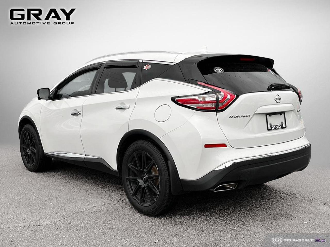 2017 Nissan Murano AWD 4DR PLATINUM Photo2