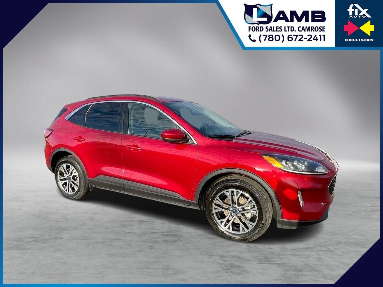 2020 Ford Escape SEL Photo0