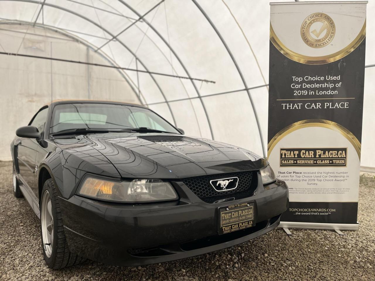 2000 Ford Mustang Convertible Photo18