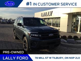 Used 2024 Ford Expedition Limited for sale in Tilbury, ON