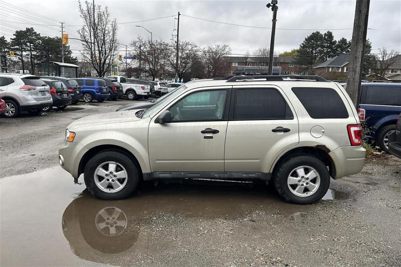Used 2010 Ford Escape XLT for sale in Mississauga, ON