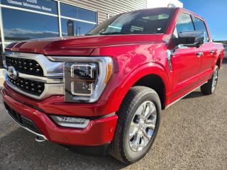 New 2023 Ford F-150 PLATINUM for sale in Pincher Creek, AB