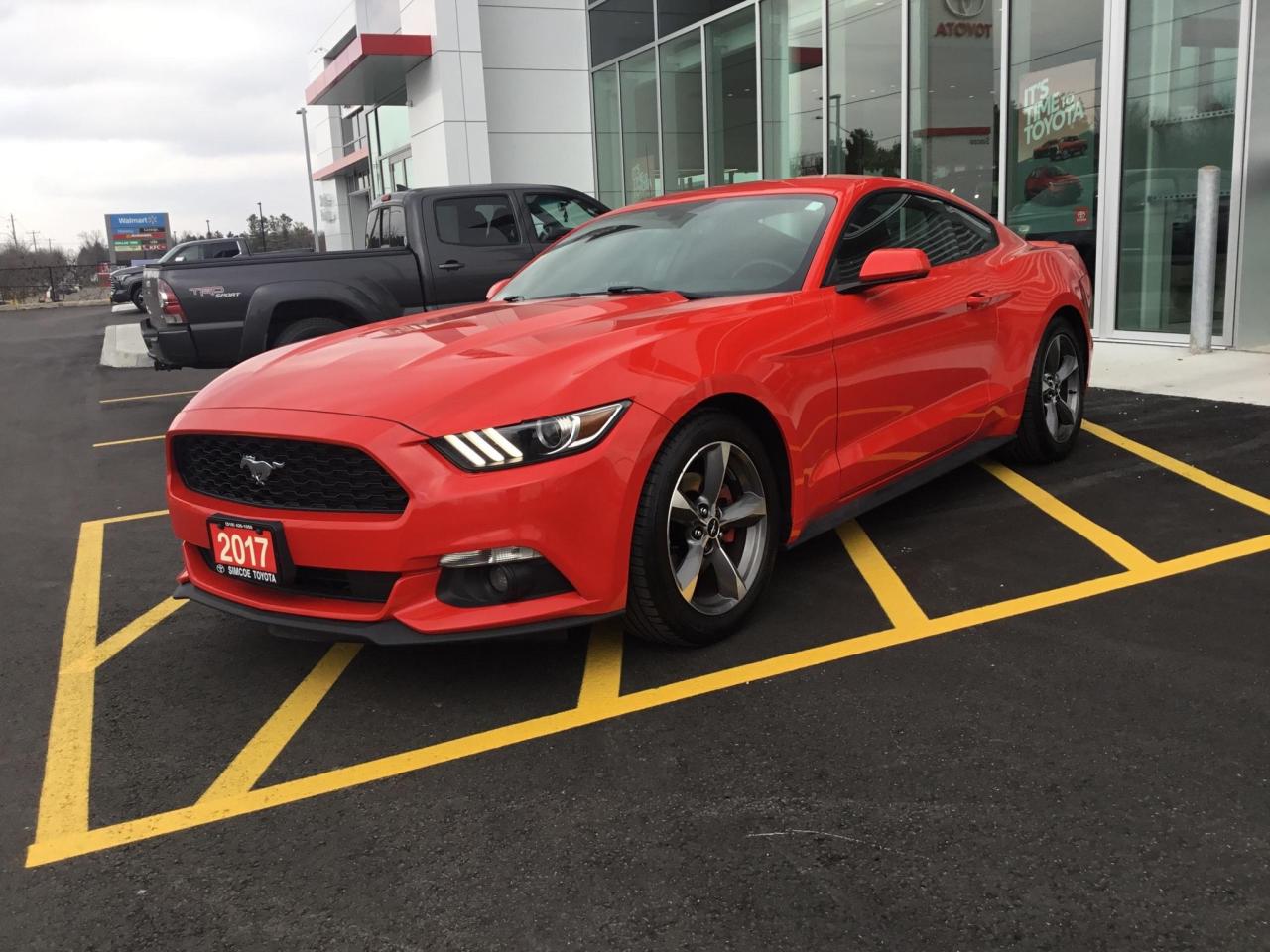 Used 2017 Ford Mustang V6 for sale in Simcoe, ON