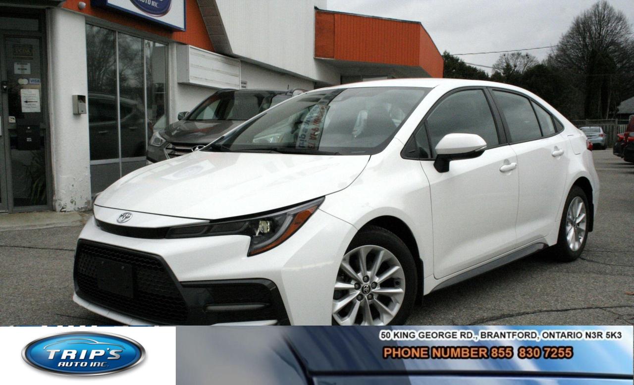 2020 Toyota Corolla 