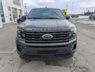 2021 Ford Expedition Limited MAX Photo