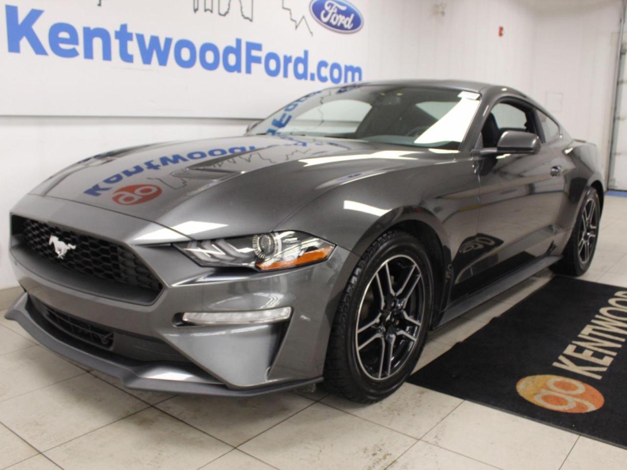 Used 2019 Ford Mustang  for sale in Edmonton, AB