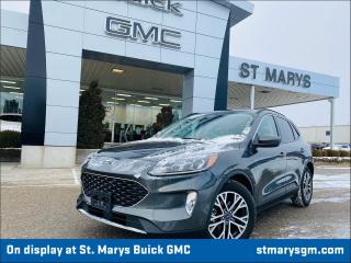 Used 2020 Ford Escape SEL for sale in St. Marys, ON