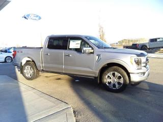 New 2023 Ford F-150 PLATINUM for sale in Lacombe, AB