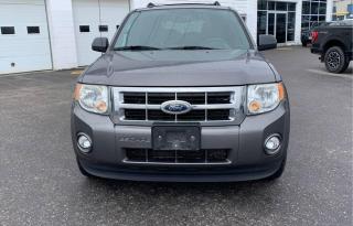 Used 2011 Ford Escape 4WD 4DR V6 AUTO XLT for sale in Oshawa, ON