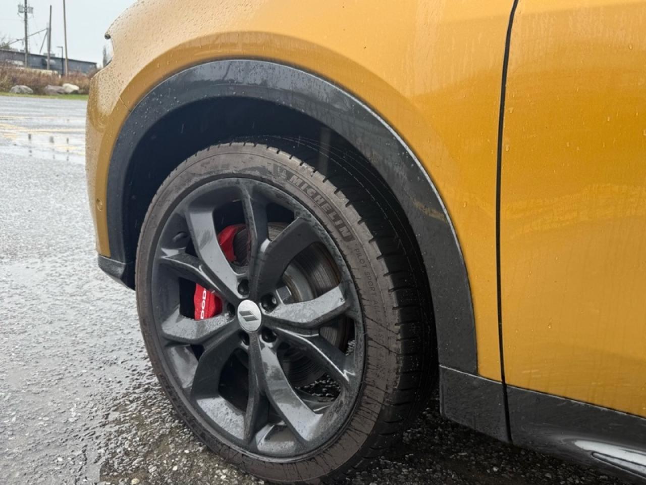 2024 Dodge Hornet R/T PHEV Photo