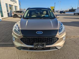 2020 Ford Escape Titanium Hybrid Photo