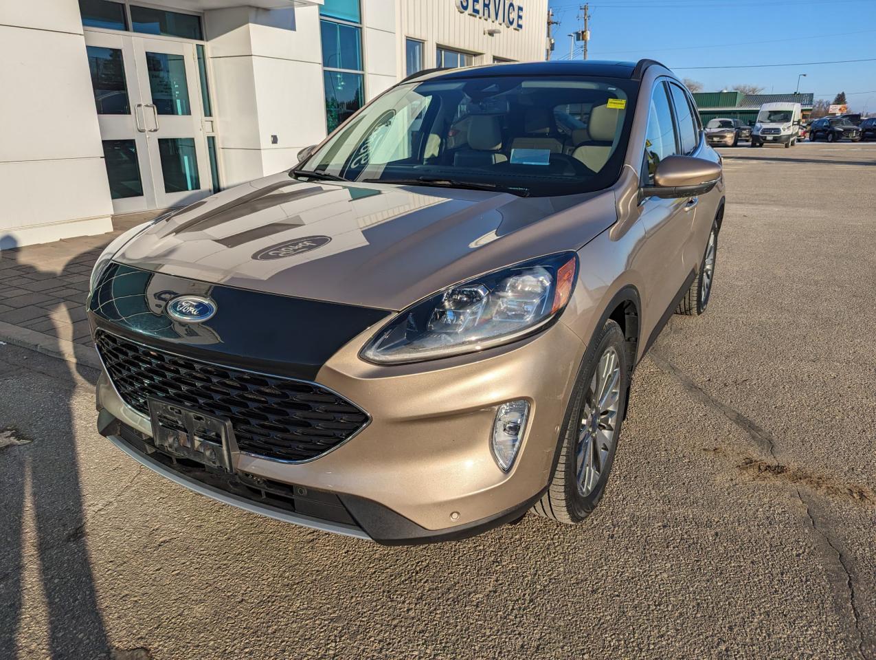 2020 Ford Escape Titanium Hybrid Photo5