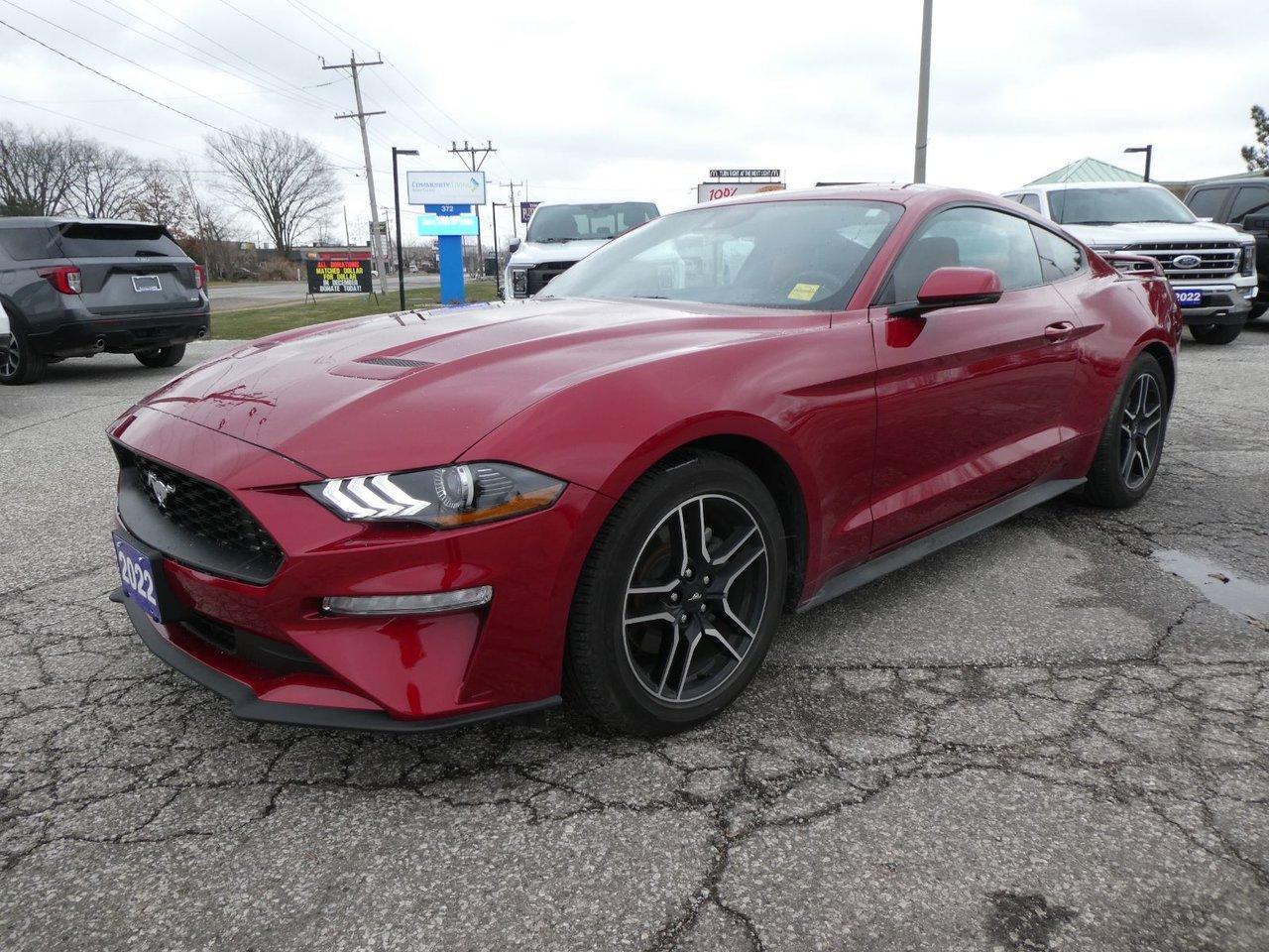 Used 2022 Ford Mustang EcoBoost Premium for sale in Essex, ON