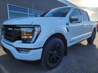 New 2023 Ford F-150 PLATINUM for sale in Pincher Creek, AB