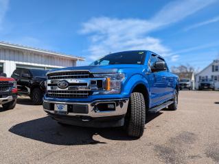 2019 Ford F-150 XLT Photo