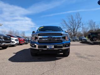 2019 Ford F-150 XLT Photo