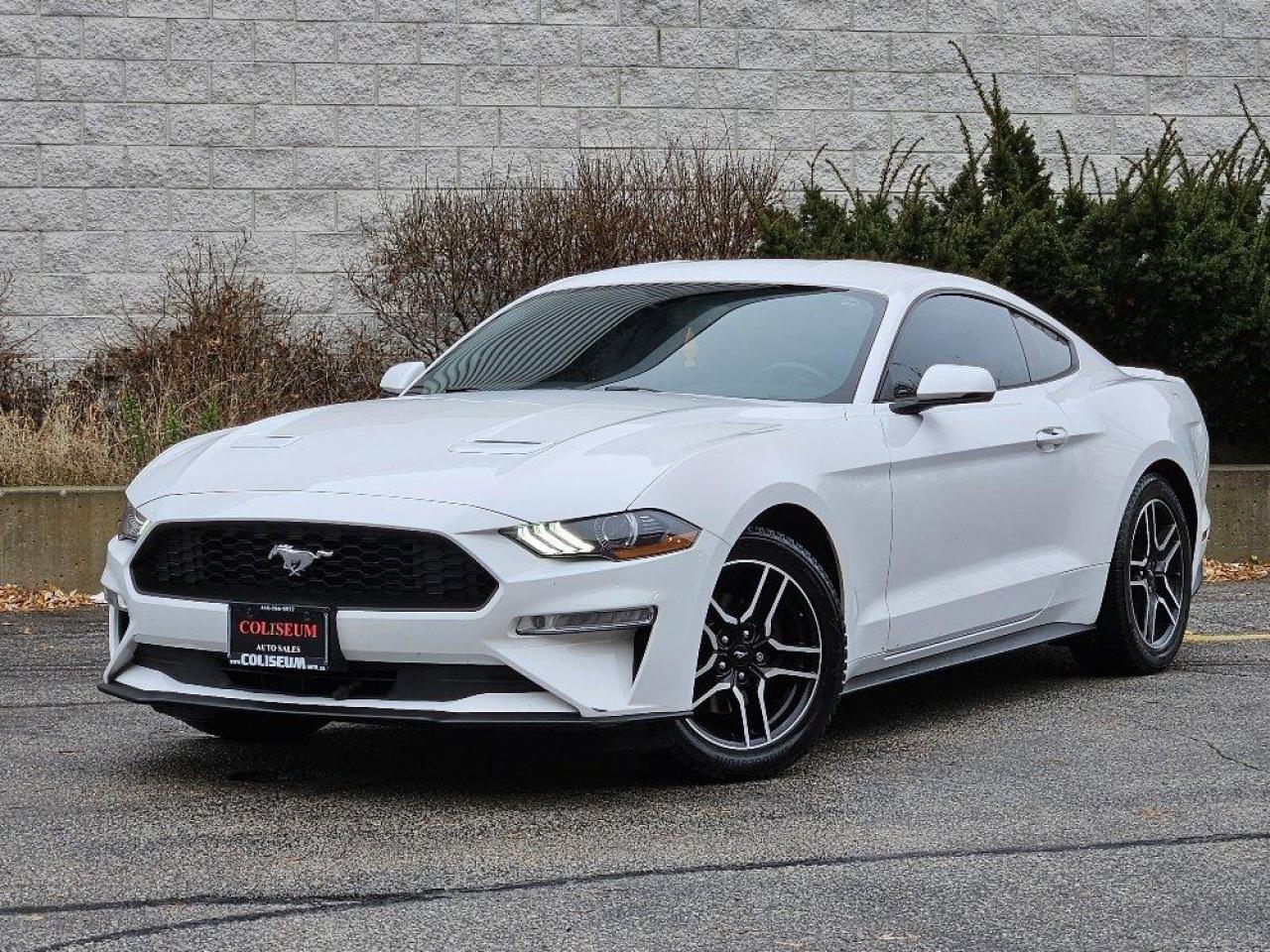 Used 2019 Ford Mustang ECOBOOST PREMIUM FASTBACK-LEATHER-NAVI-AUTOMATIC for sale in Toronto, ON