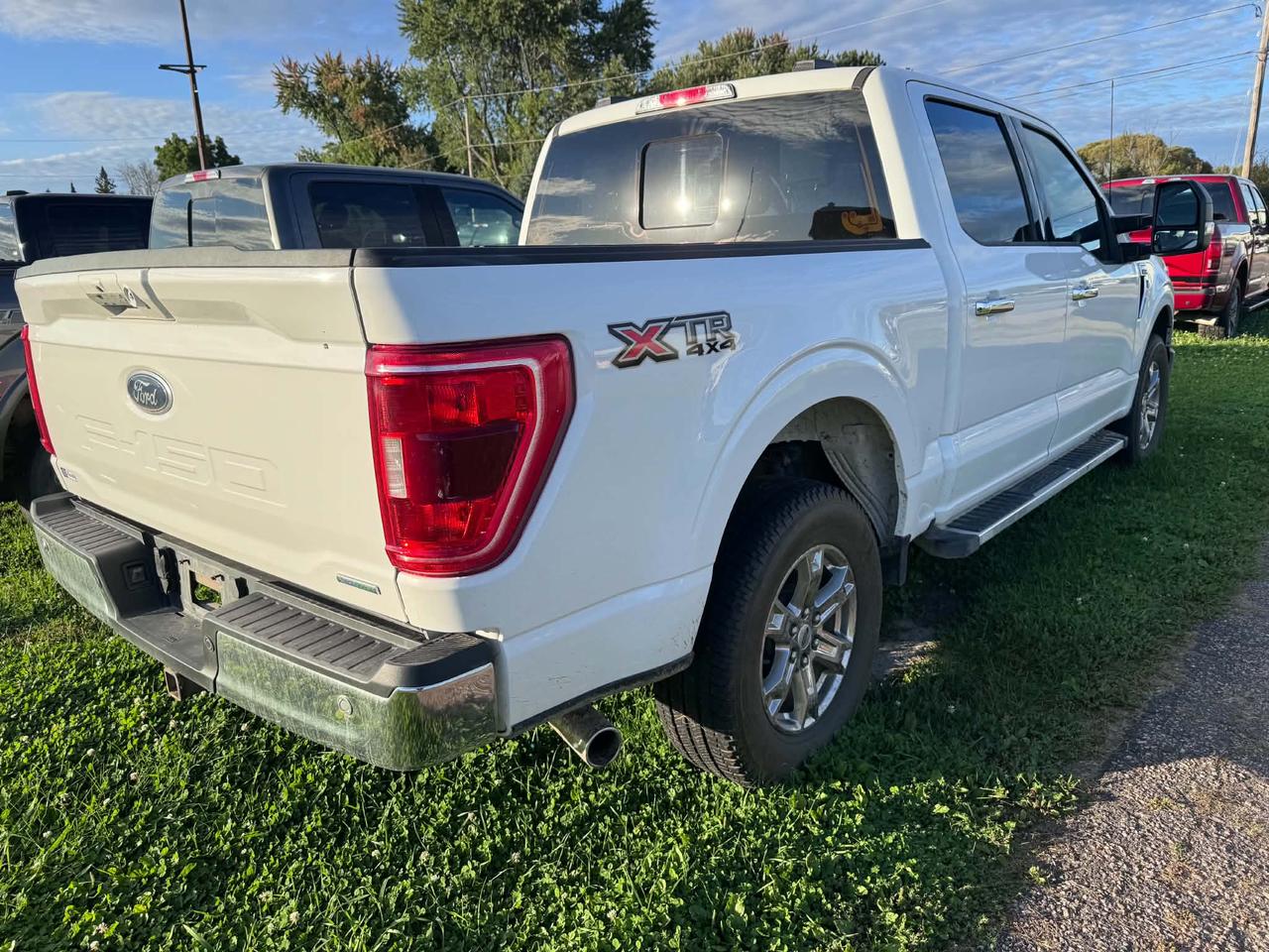 2023 Ford F-150 XLT Photo3