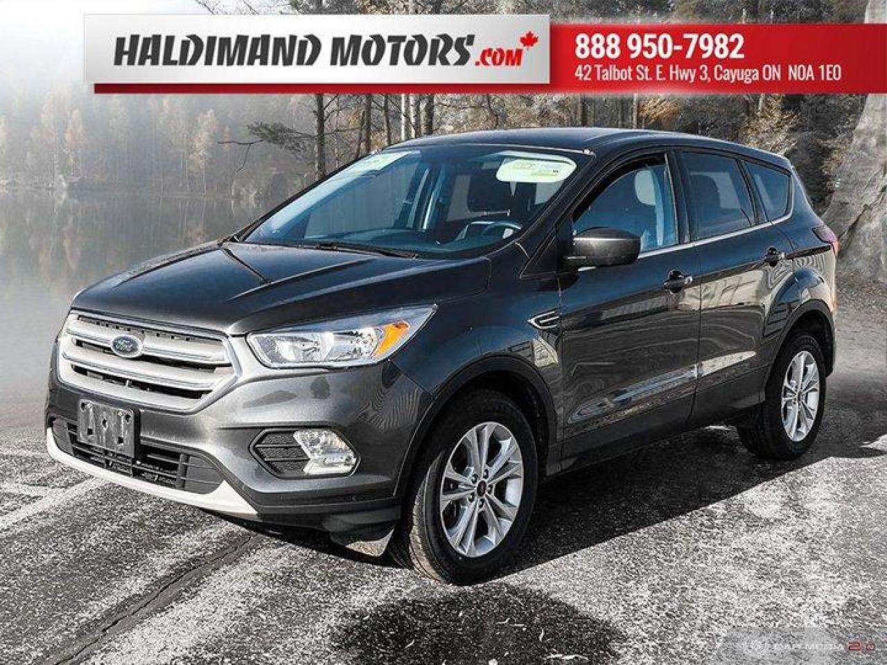 Used 2019 Ford Escape SE for sale in Cayuga, ON