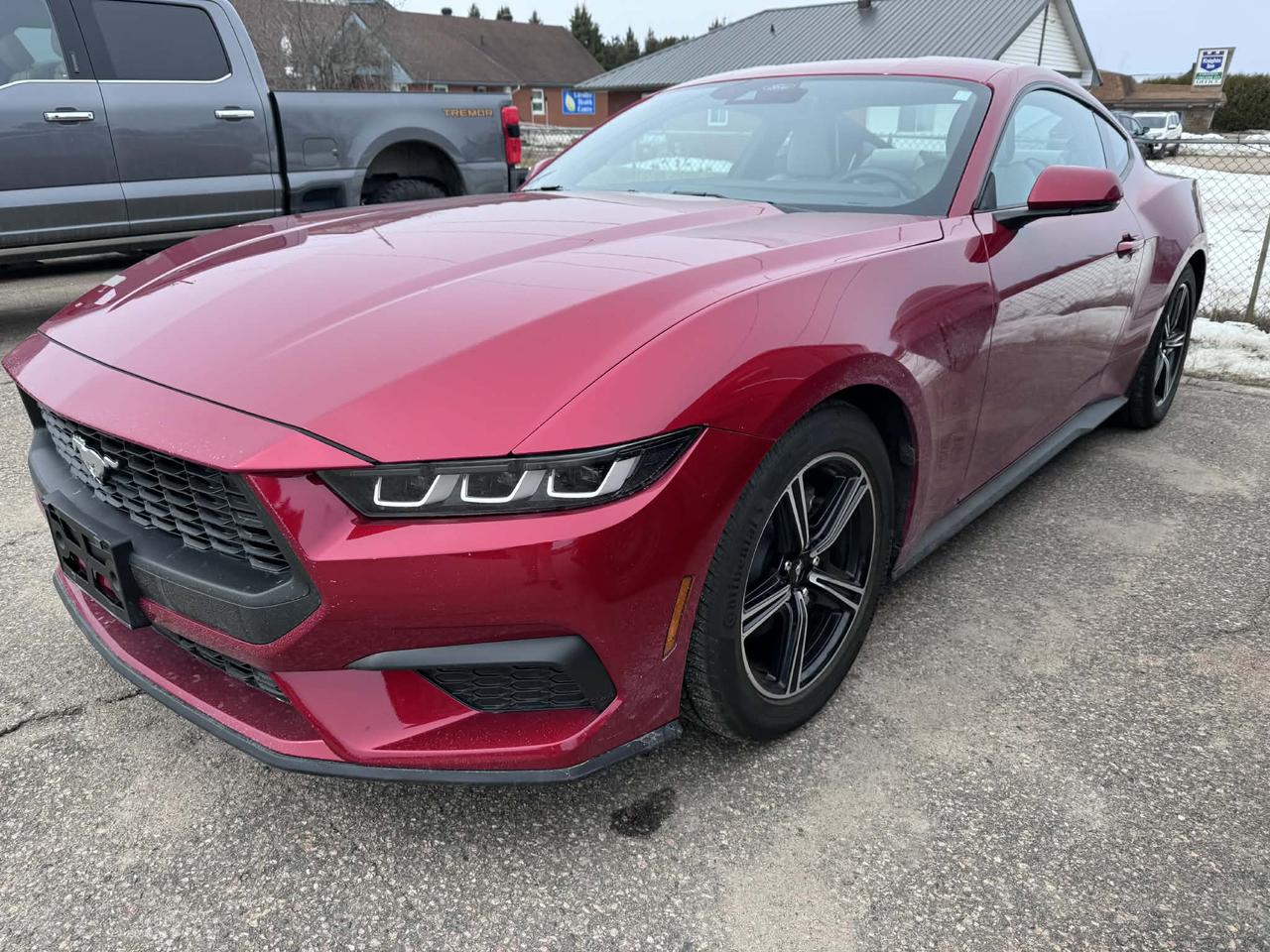 Ford Mustang EcoBoost Premium Fastback RWD 2024