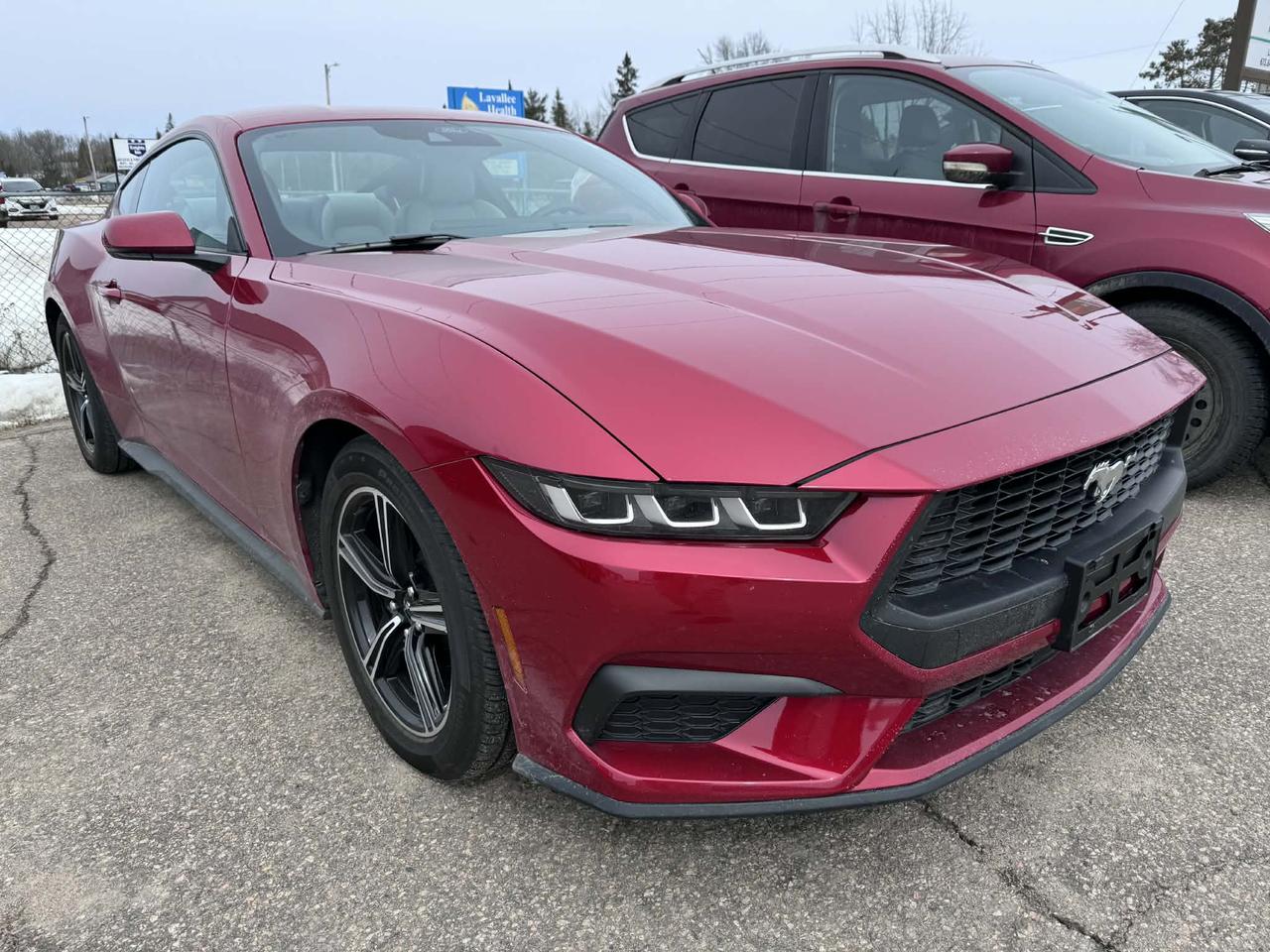 2024 Ford Mustang EcoBoost Premium Photo5