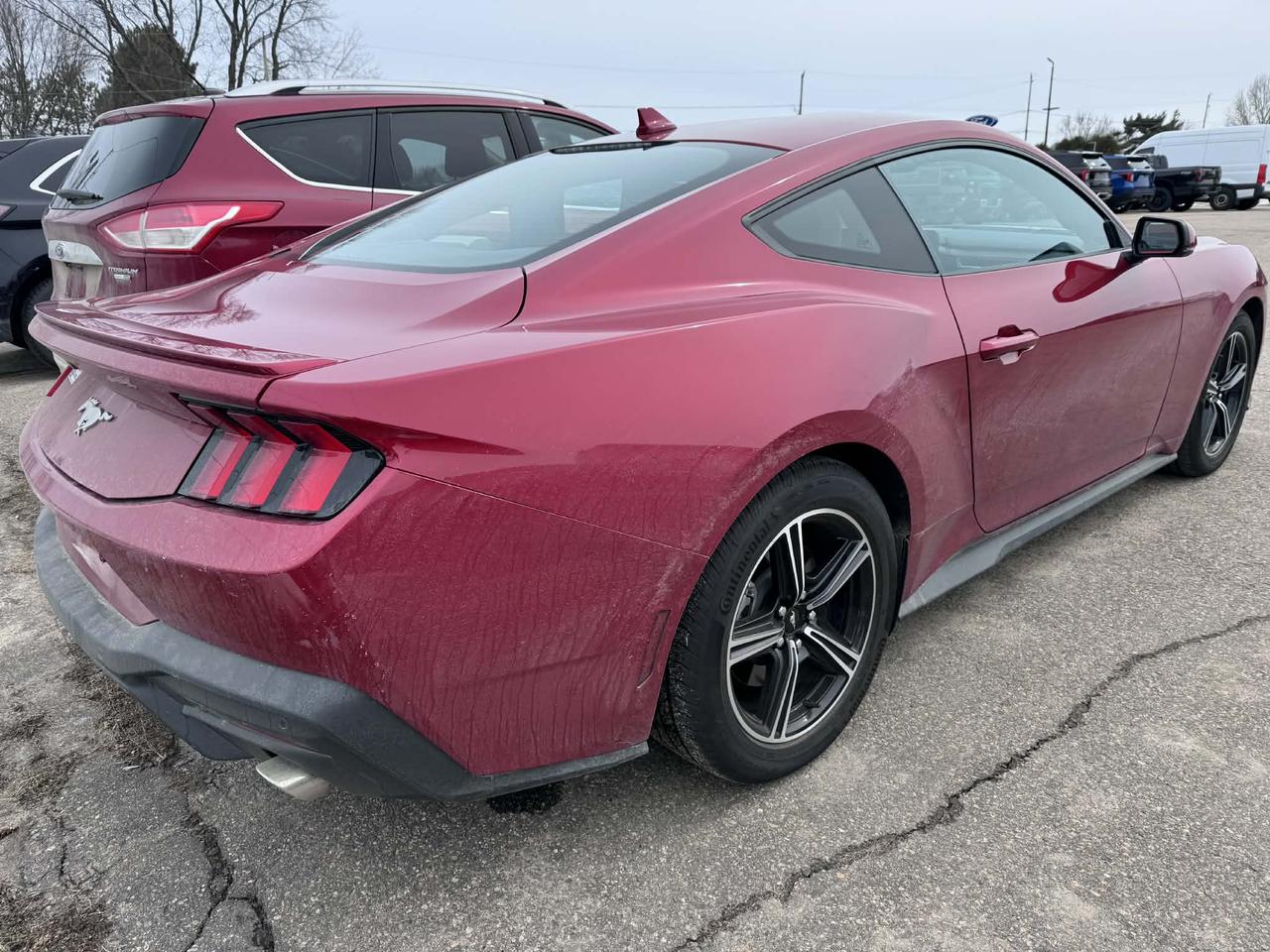 2024 Ford Mustang EcoBoost Premium Photo5