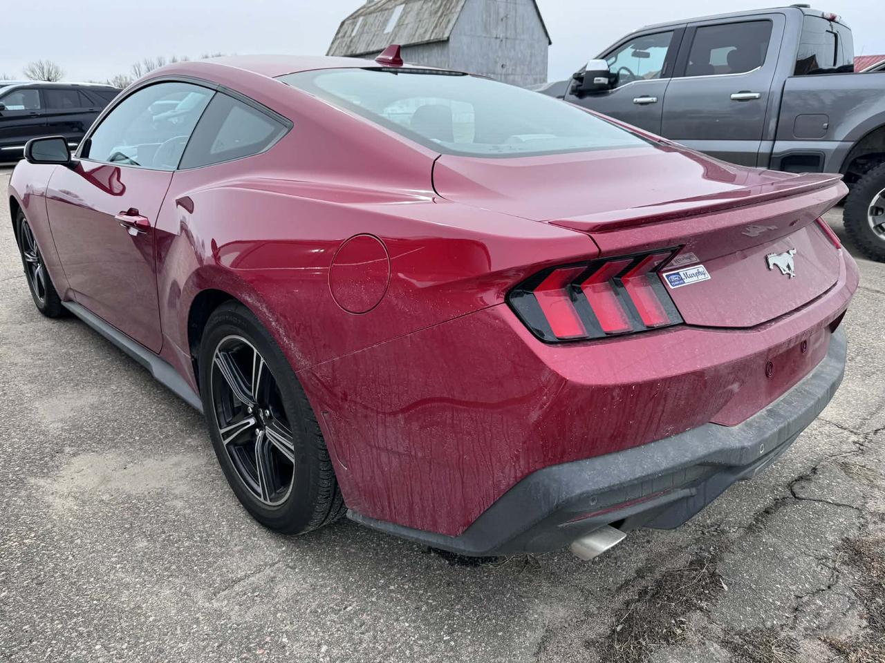 2024 Ford Mustang EcoBoost Premium Photo5