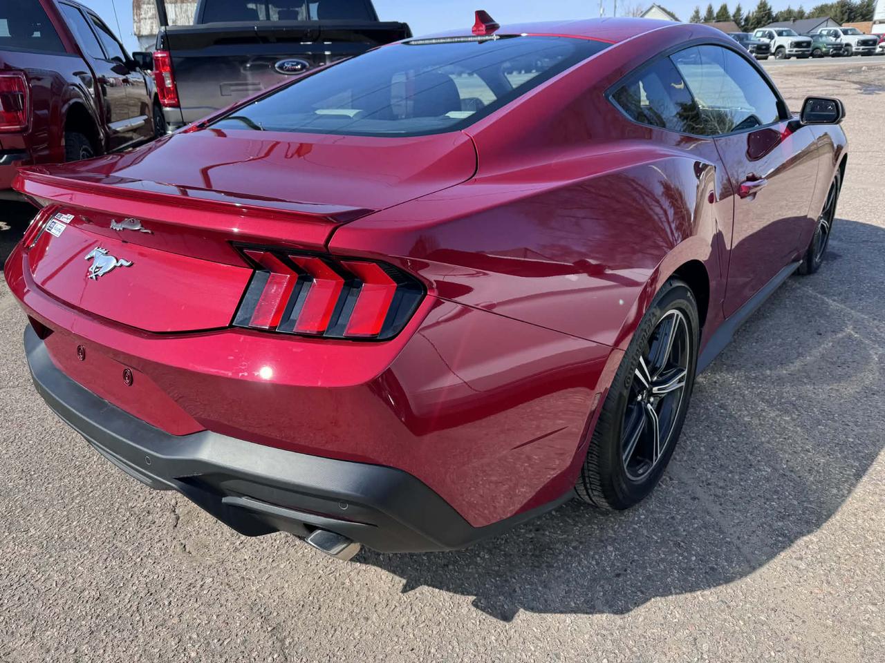 2024 Ford Mustang EcoBoost Premium Photo5