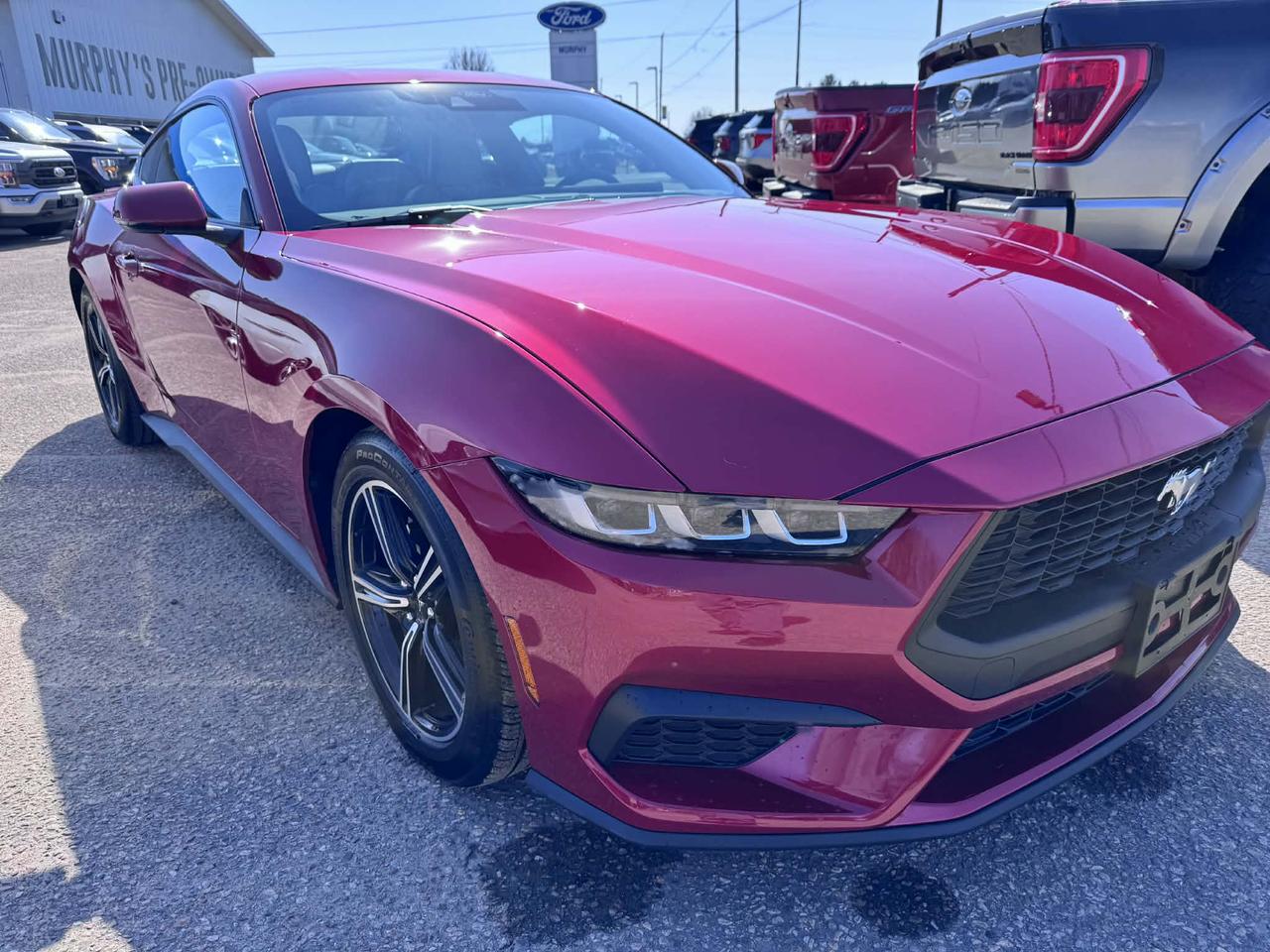 2024 Ford Mustang EcoBoost Premium Photo5