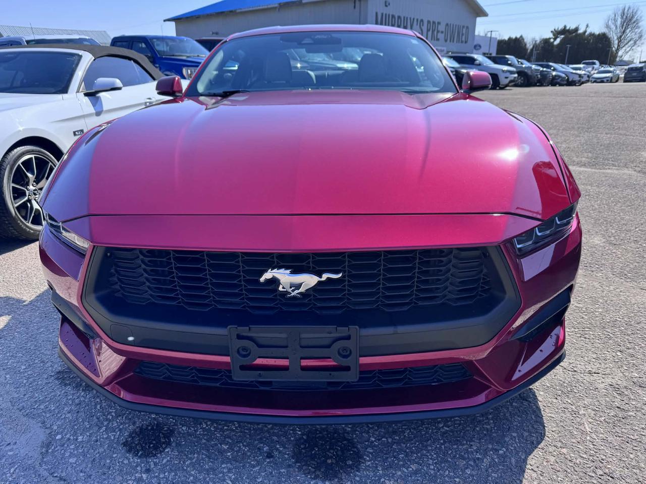 2024 Ford Mustang EcoBoost Premium Photo1