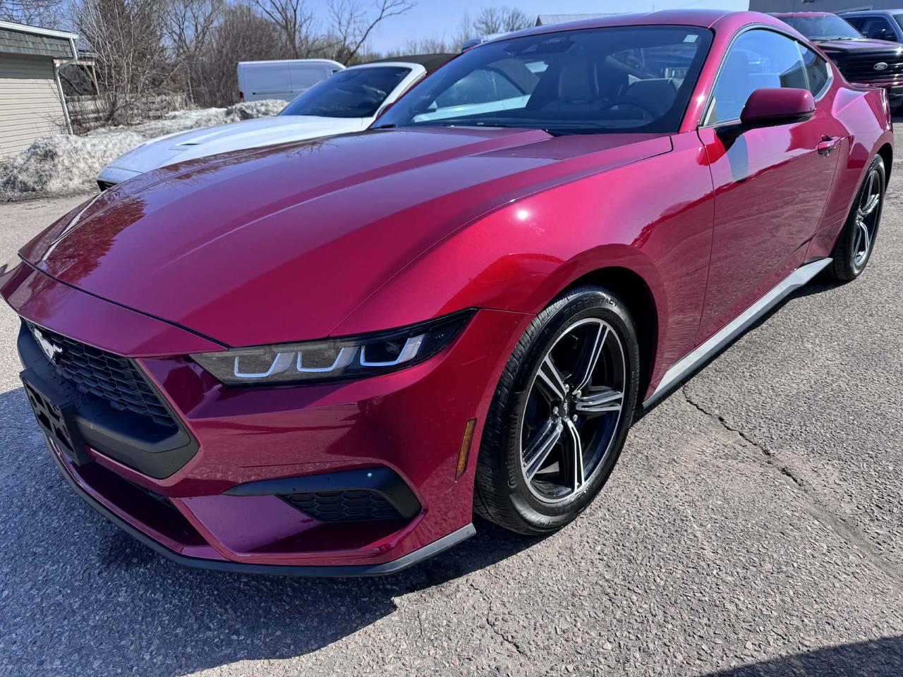 2024 Ford Mustang EcoBoost Premium Fastback RWD