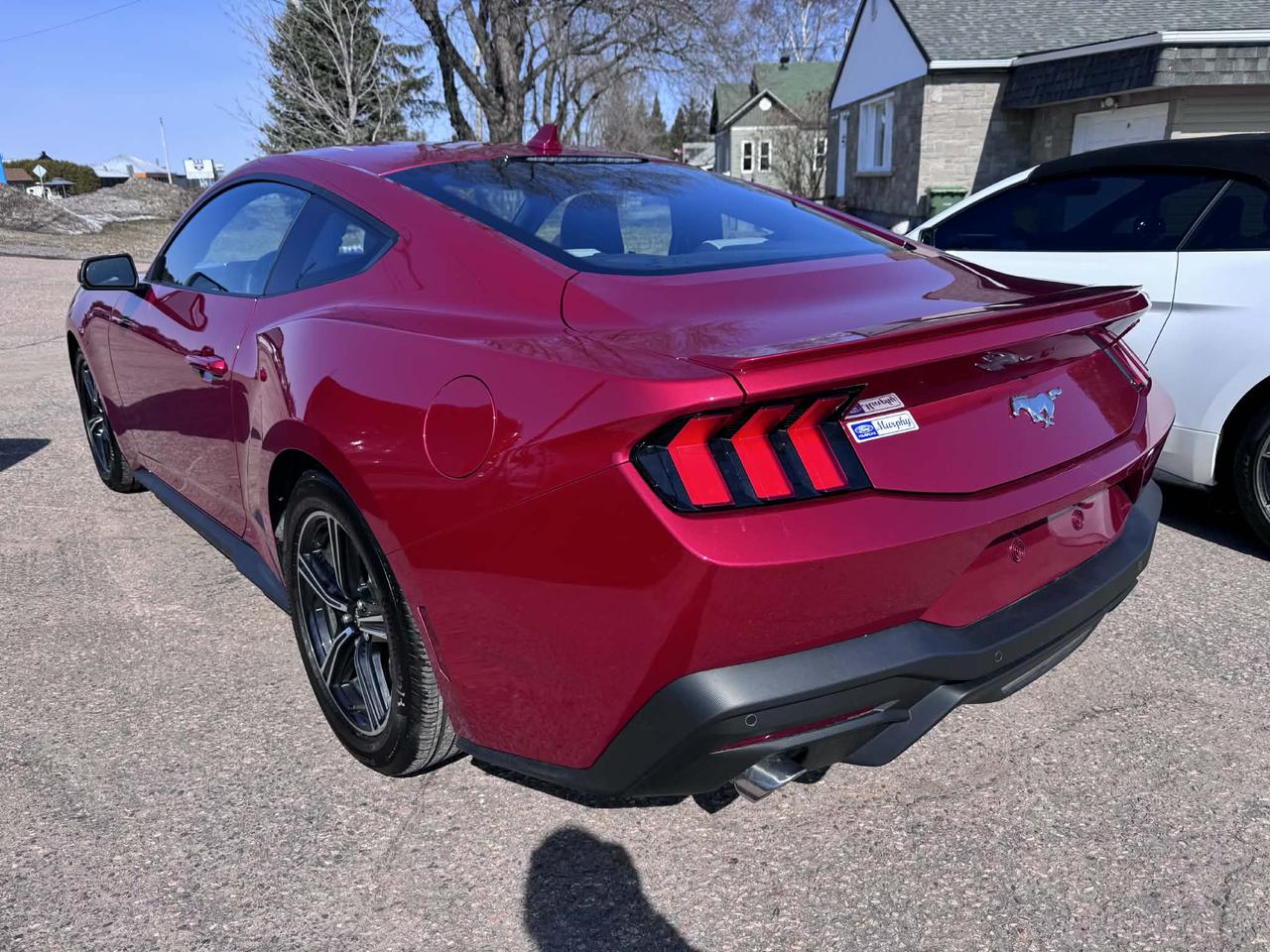 2024 Ford Mustang EcoBoost Premium Photo