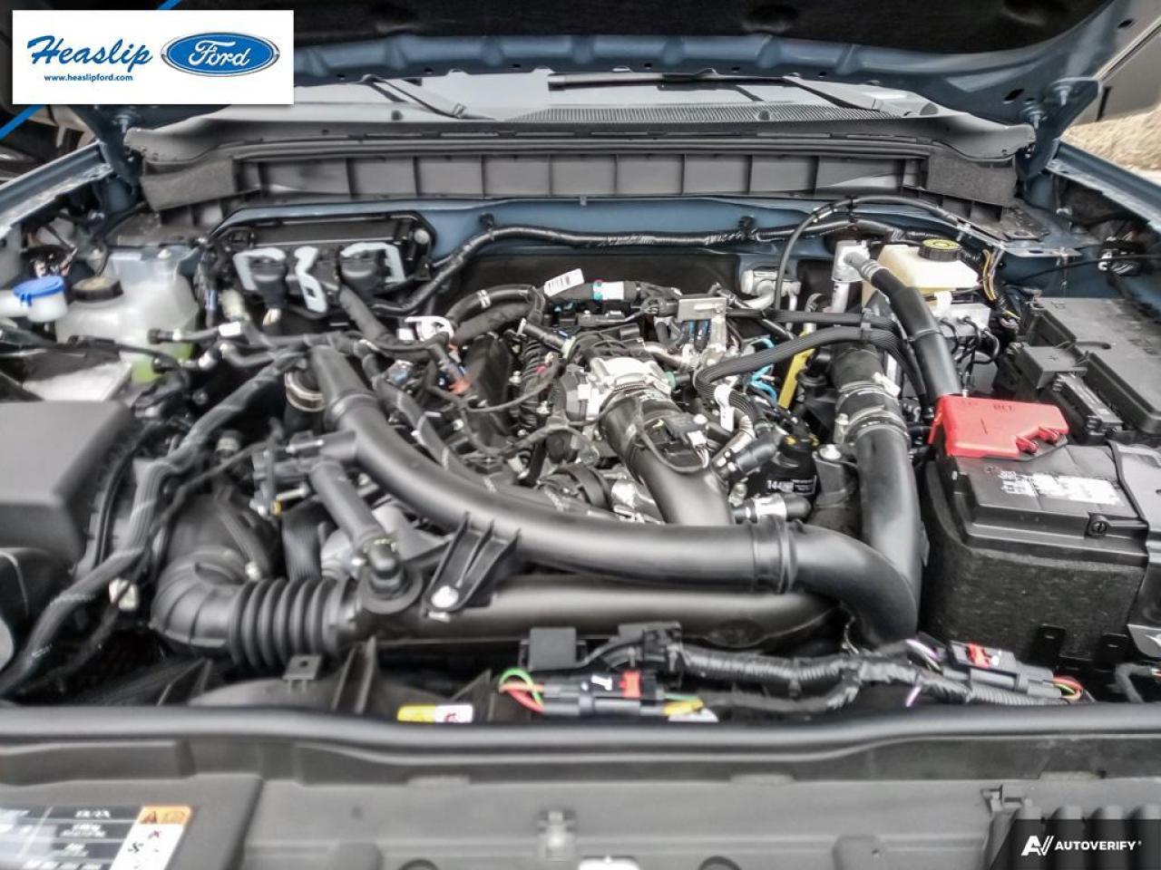 2024 Ford Bronco WildTrak Photo5
