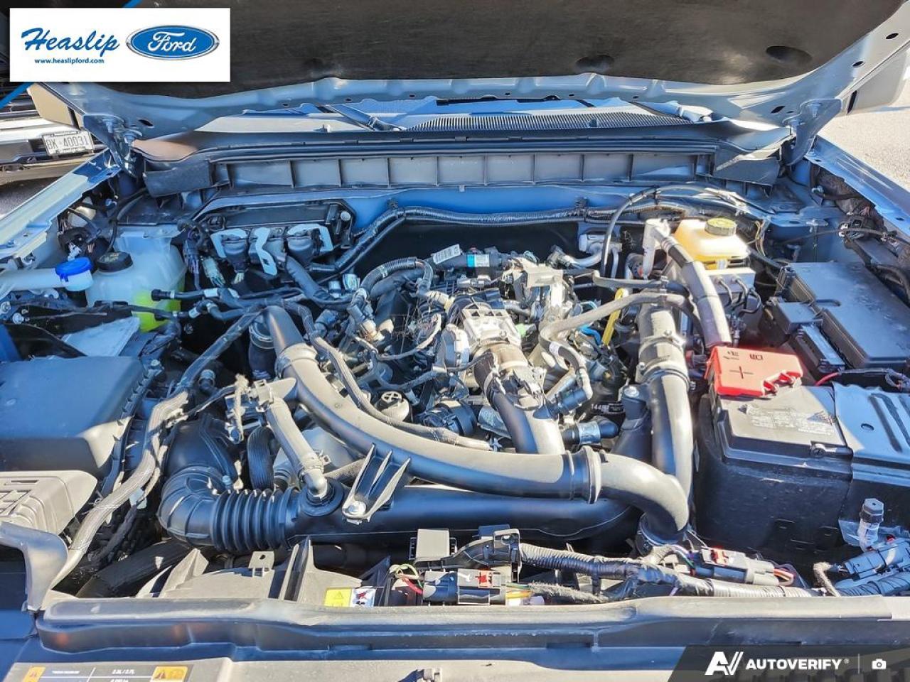 2024 Ford Bronco WildTrak Photo5