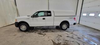 Used 2014 Ford F-150  for sale in Dundurn, SK